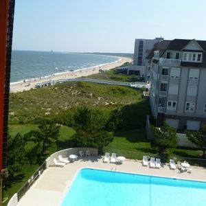 Meet your Posher, Rosalie